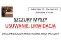 deratyzacja-na-szczury-tel-504-746-203-wroclaw-cennik-zwalczanie-small-1