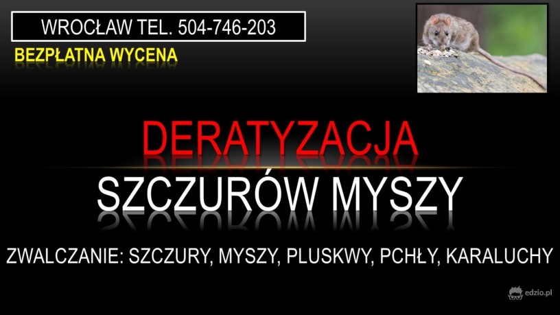 deratyzacja-na-szczury-tel-504-746-203-wroclaw-cennik-zwalczanie-big-0