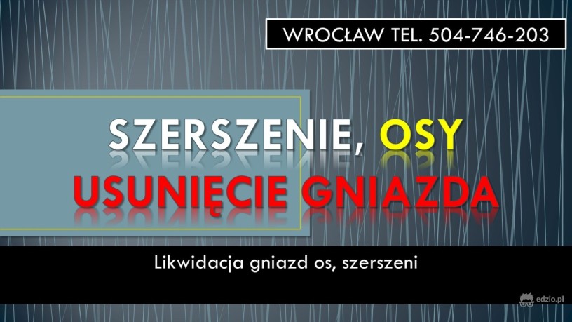 szerszenie-osy-usuniecie-gniazda-roju-tel-504-746-203-wroclaw-big-0