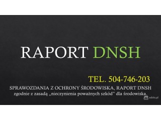 Sprawozdanie DNSH, tel. 504-746-203, cena za raport
