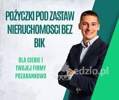 pozyczki-pozabankowe-pod-zastaw-nieruchomosci-bez-bik-big-0