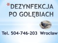 sprzatanie-balkonu-po-golebiach-tel-dezynfekcja-small-4