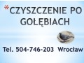 sprzatanie-balkonu-po-golebiach-tel-dezynfekcja-small-3