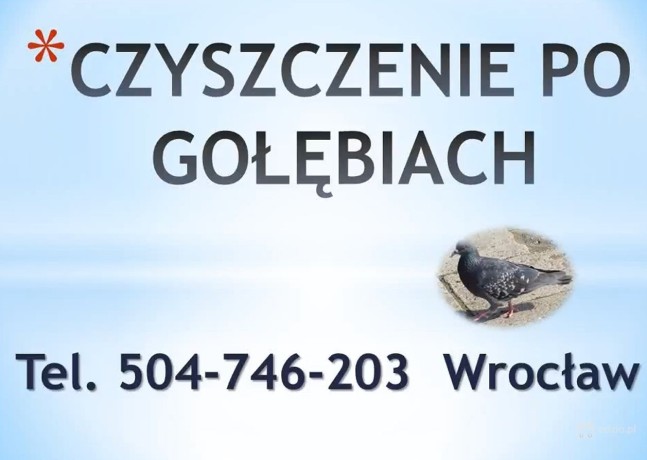 sprzatanie-balkonu-po-golebiach-tel-dezynfekcja-big-1