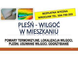 Wykrywanie i przyczyny wilgoci, Wrocław, tel.cena