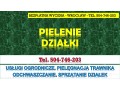 pielenie-i-usuwanie-chwastow-cennik-tel-504-746-203-wroclaw-pielegnacja-trawnika-small-0