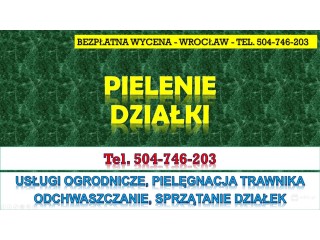 Pielenie i usuwanie chwastów, cennik, tel. 504-746-203, Wrocław. Pielęgnacja trawnika
