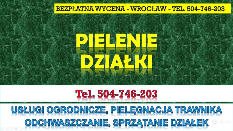 pielenie-i-usuwanie-chwastow-cennik-tel-504-746-203-wroclaw-pielegnacja-trawnika-big-0