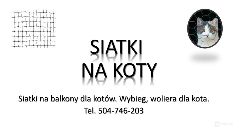 woliera-dla-kota-cena-i-montaz-tel-wybieg-dla-kota-w-ogrodzie-big-0