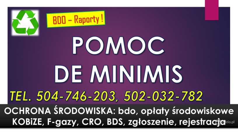 obsluga-bdo-cennik-tel-sprawozdanie-za-opakowania-pomoc-big-3