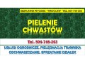pielenie-i-usuwanie-chwastow-cennik-tel-504-746-203-wroclaw-pielegnacja-trawnika-small-1