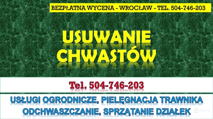 pielenie-i-usuwanie-chwastow-cennik-tel-504-746-203-wroclaw-pielegnacja-trawnika-big-2