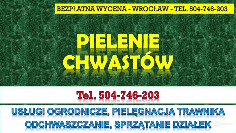 pielenie-i-usuwanie-chwastow-cennik-tel-504-746-203-wroclaw-pielegnacja-trawnika-big-1