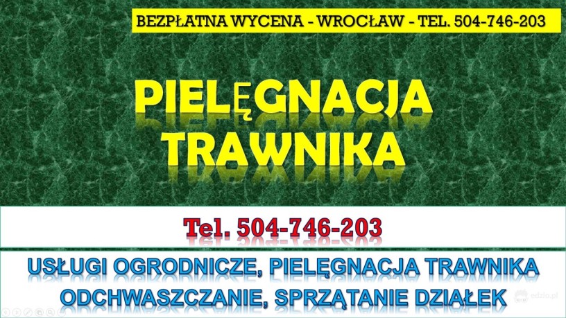 pielenie-i-usuwanie-chwastow-cennik-tel-504-746-203-wroclaw-pielegnacja-trawnika-big-3
