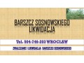 likwidacja-barszczu-sosnowskiego-tel-504-746-203-cennik-usuniecie-small-1