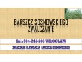 likwidacja-barszczu-sosnowskiego-tel-504-746-203-cennik-usuniecie-small-2