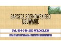 likwidacja-barszczu-sosnowskiego-tel-504-746-203-cennik-usuniecie-small-0