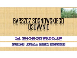 Likwidacja barszczu Sosnowskiego, tel. 504-746-203, Cennik, usunięcie