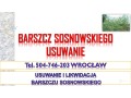 usuwanie-barszczu-sosnowskiego-cena-tel-504-746-203-likwidacja-zwalczaie-small-1
