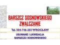 usuwanie-barszczu-sosnowskiego-cena-tel-504-746-203-likwidacja-zwalczaie-small-2
