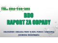 bdo-dla-firmy-budowlanej-tel-504-746-203-wykonaniesprawozdania-small-2