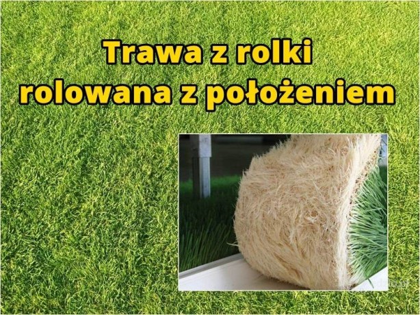 trawa-z-rolki-rolowana-z-polozeniem-big-0