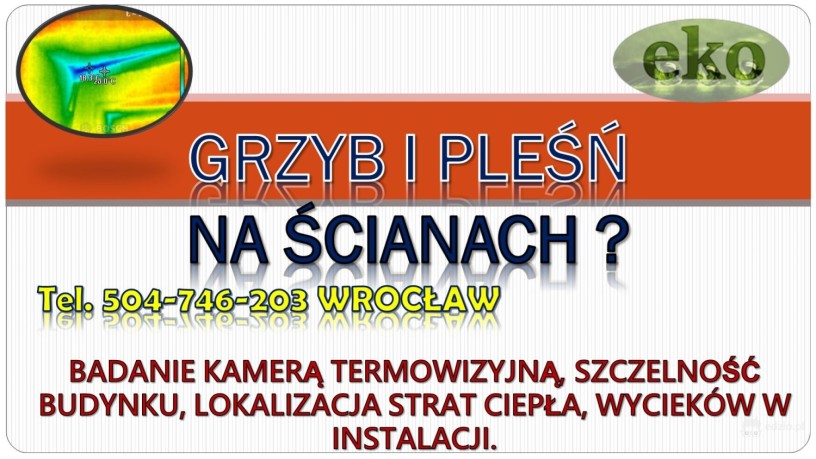 wykrywanie-wilgoci-wroclaw-tel-504-746-203-sprawdzenie-budynku-big-3