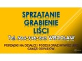 uslugi-grabienia-lisci-tel-504-746-203-cennik-wroclaw-sprzatanie-i-wywoz-small-1
