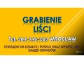 uslugi-grabienia-lisci-tel-504-746-203-cennik-wroclaw-sprzatanie-i-wywoz-small-0