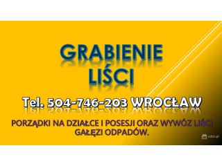 Usługi grabienia liści, tel. 504-746-203. Cennik Wrocław. Sprzątanie i wywóz.