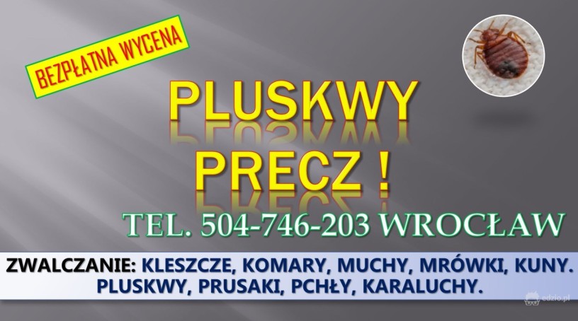 dezynfekcja-na-pluskwy-cennik-tel-504-746-203-wroclaw-big-3
