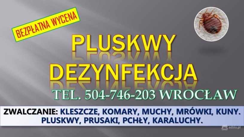 dezynfekcja-na-pluskwy-cennik-tel-504-746-203-wroclaw-big-1