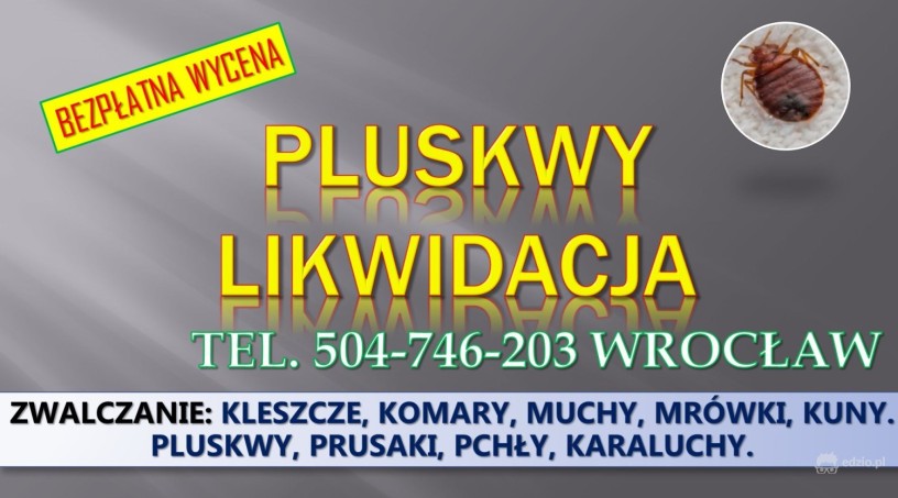 dezynfekcja-na-pluskwy-cennik-tel-504-746-203-wroclaw-big-2