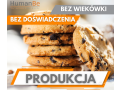 produkcja-ciastek-od-zaraz-zakwaterowanie-holandia-small-0