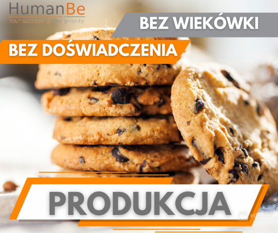 produkcja-ciastek-od-zaraz-zakwaterowanie-holandia-big-0