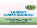 zgloszenie-do-cro-fgazy-cena-tel-504-746-203-centralny-rejestr-operatorow-small-3