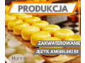 produkcja-sera-od-zaraz-zakwaterowanie-holandia-small-0