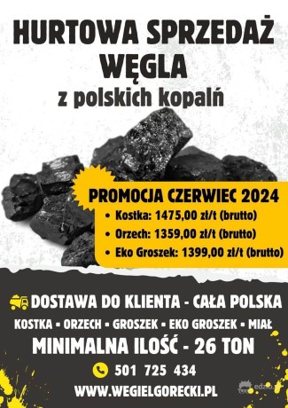 wegiel-z-polskich-kopaln-promocja-czerwcowa-big-0