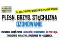 ozonowanie-wroclaw-cennik-tel-504-746-203-usuwanie-wirusow-grzybow-plesni-small-3