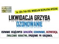 ozonowanie-wroclaw-cennik-tel-504-746-203-usuwanie-wirusow-grzybow-plesni-small-2