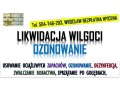 ozonowanie-wroclaw-cennik-tel-504-746-203-usuwanie-wirusow-grzybow-plesni-small-1