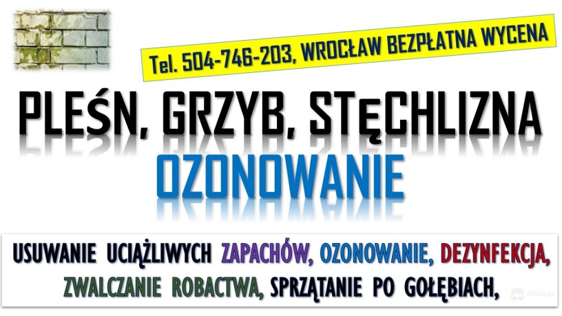 ozonowanie-wroclaw-cennik-tel-504-746-203-usuwanie-wirusow-grzybow-plesni-big-3