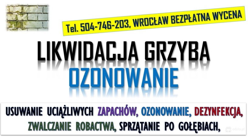 ozonowanie-wroclaw-cennik-tel-504-746-203-usuwanie-wirusow-grzybow-plesni-big-2
