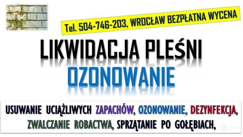ozonowanie-wroclaw-cennik-tel-504-746-203-usuwanie-wirusow-grzybow-plesni-big-0