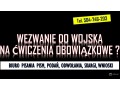 odwolanie-od-wezwania-z-wojska-tel-504-746-203-pismo-wzor-cena-napisanie-pisma-small-1