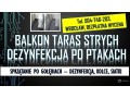 golebie-oczyszczanie-balkonu-tel-504-746-203-usuwanie-zabrudzen-po-ptakach-wroclaw-small-2