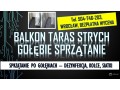 golebie-oczyszczanie-balkonu-tel-504-746-203-usuwanie-zabrudzen-po-ptakach-wroclaw-small-3