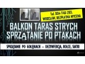 golebie-oczyszczanie-balkonu-tel-504-746-203-usuwanie-zabrudzen-po-ptakach-wroclaw-small-1