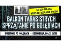 golebie-oczyszczanie-balkonu-tel-504-746-203-usuwanie-zabrudzen-po-ptakach-wroclaw-small-0