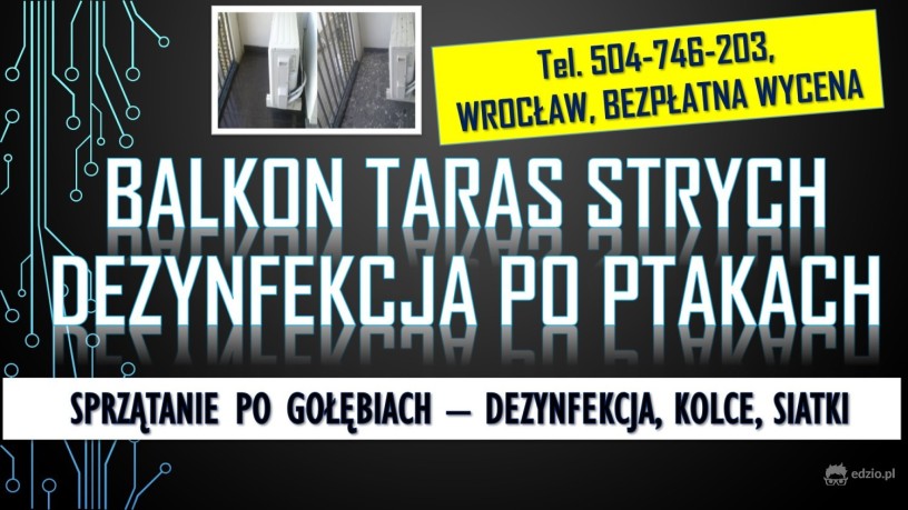 golebie-oczyszczanie-balkonu-tel-504-746-203-usuwanie-zabrudzen-po-ptakach-wroclaw-big-2